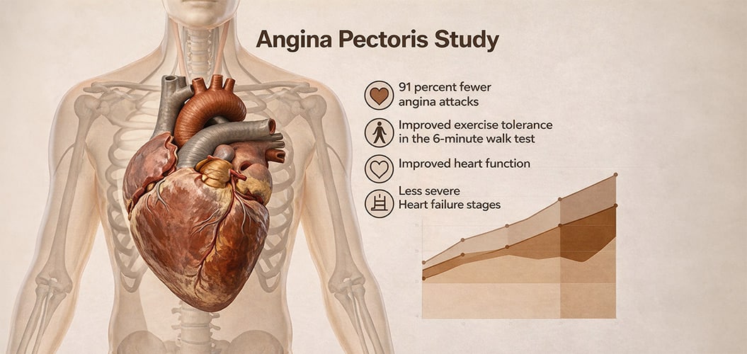 Angina Pectoris - CSWT Study - Dr. Meyer